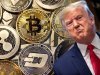 Bitwise's Matt Hougan Predicts Altcoin Rally If Trump Wins Election